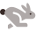 Webdeersign Project22 for SOURCE